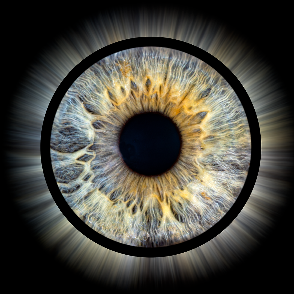 Iris effet kiwi studio les herbiers