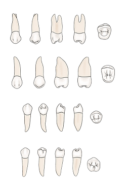 Image from iOS (1).png