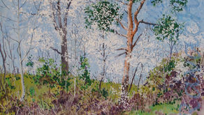 Saint-Galmier- Printemps 1