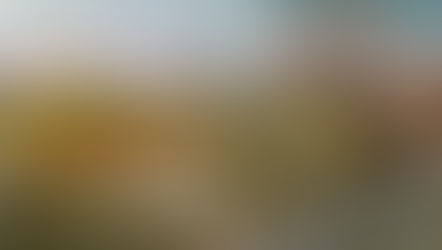 Saintes Maries de la Mer