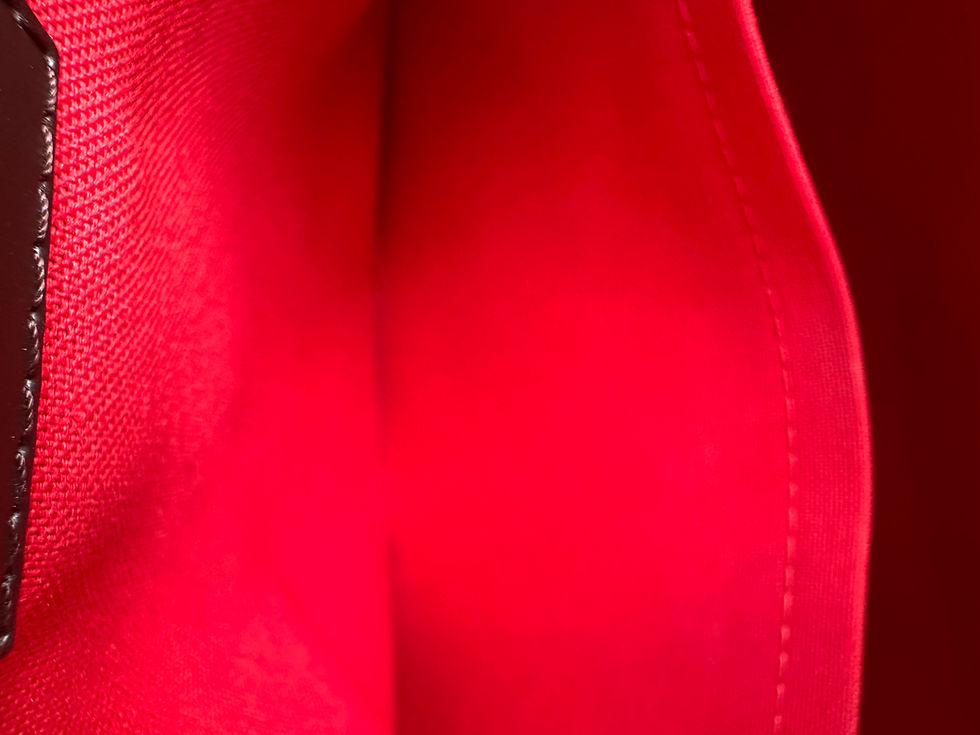 Thumbnail: Louis Vuitton Siena MM
