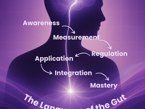 ilhouette illustration showing a human profile in purple gradient lighting with a glowing neural pathway linking the brain and gut. Six labeled steps — Awareness, Measurement, Regulation, Application, Integration, and Mastery — illustrate the Blueprint 6 flow. Text reads “Blueprint 6: The Language of the Gut — The Structured Path to Emotionology Mastery.” Created by Emotionology Life.