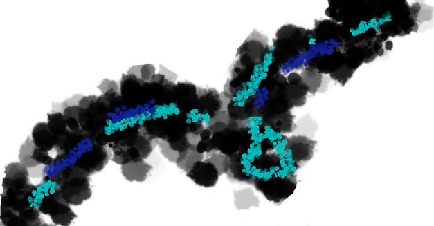 black blue and turquoise color path