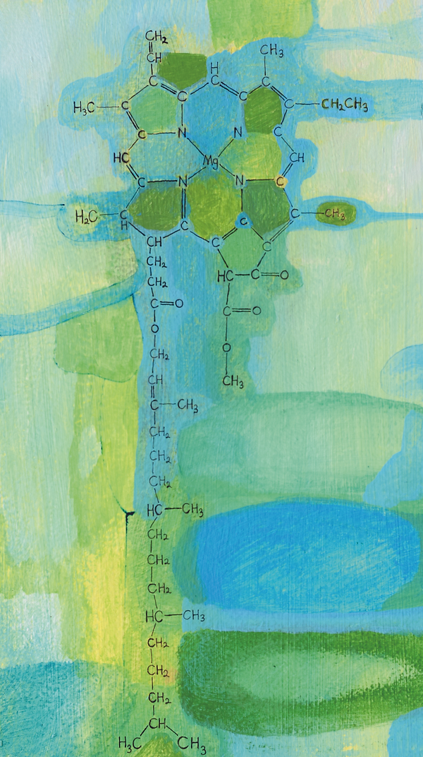 Chlorophyll_7.5x12.5in_Acrylic and pen on panel_Mixed Media_2025_cmyk.tif