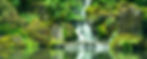 anders-ipsen-9XhgZmrvCEU-unsplash_edited