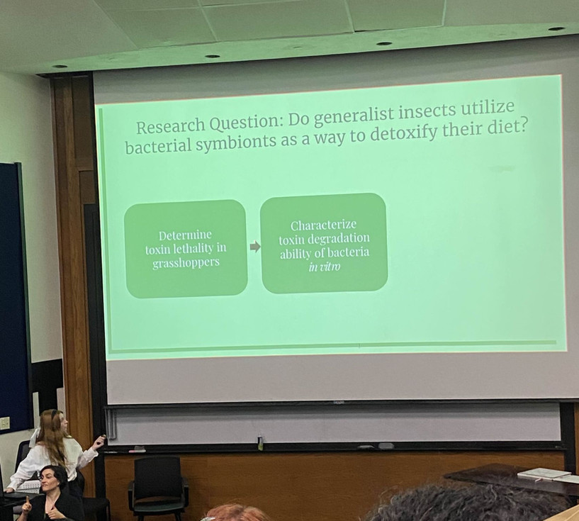 me presenting orally