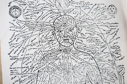 En sanskrit