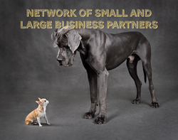 Big and Small Business