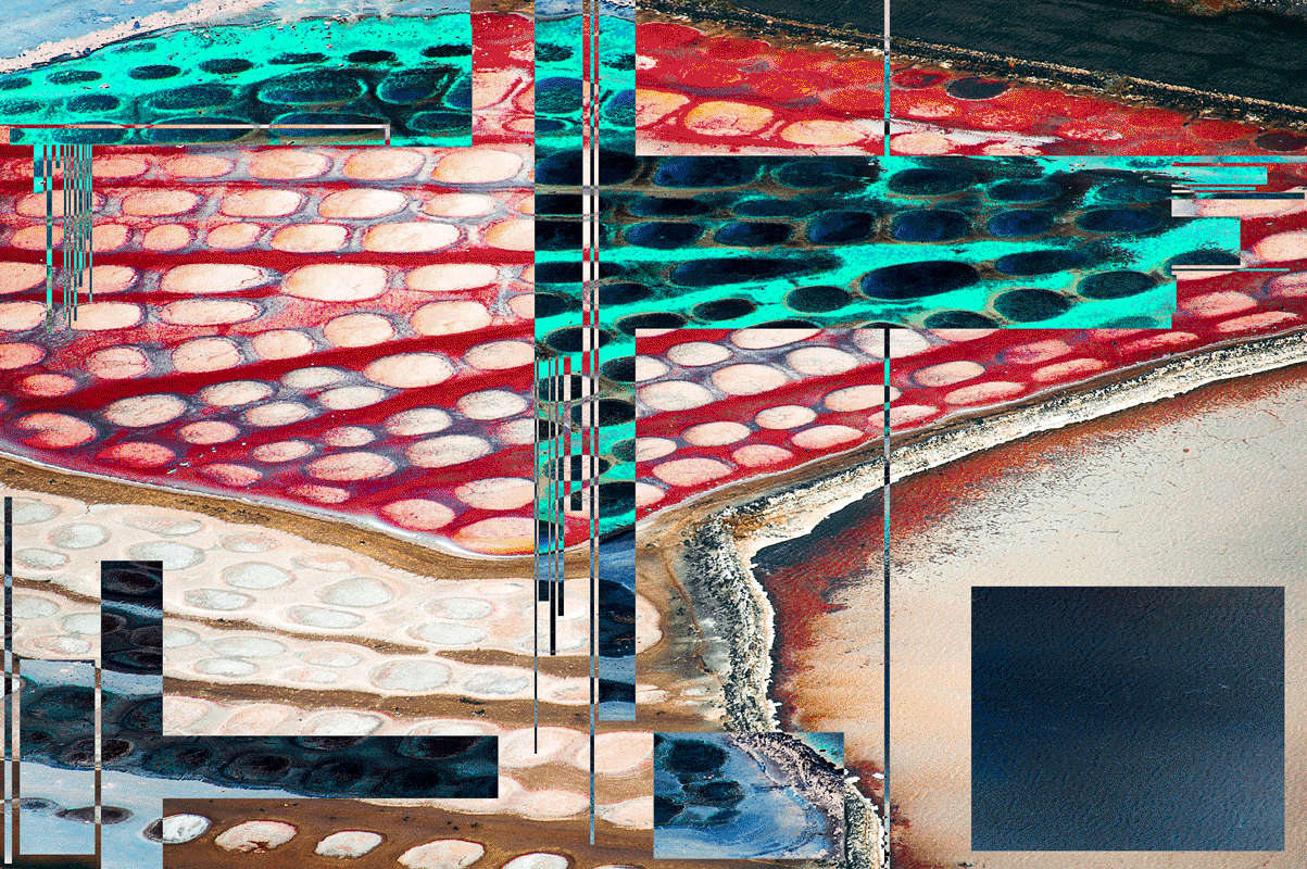 DSC_0780GIFREV_33%.gif