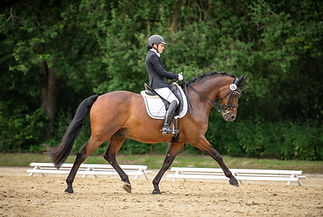 DSC_3441.jpg