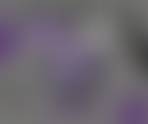 🏆 Nature Coast Cup 