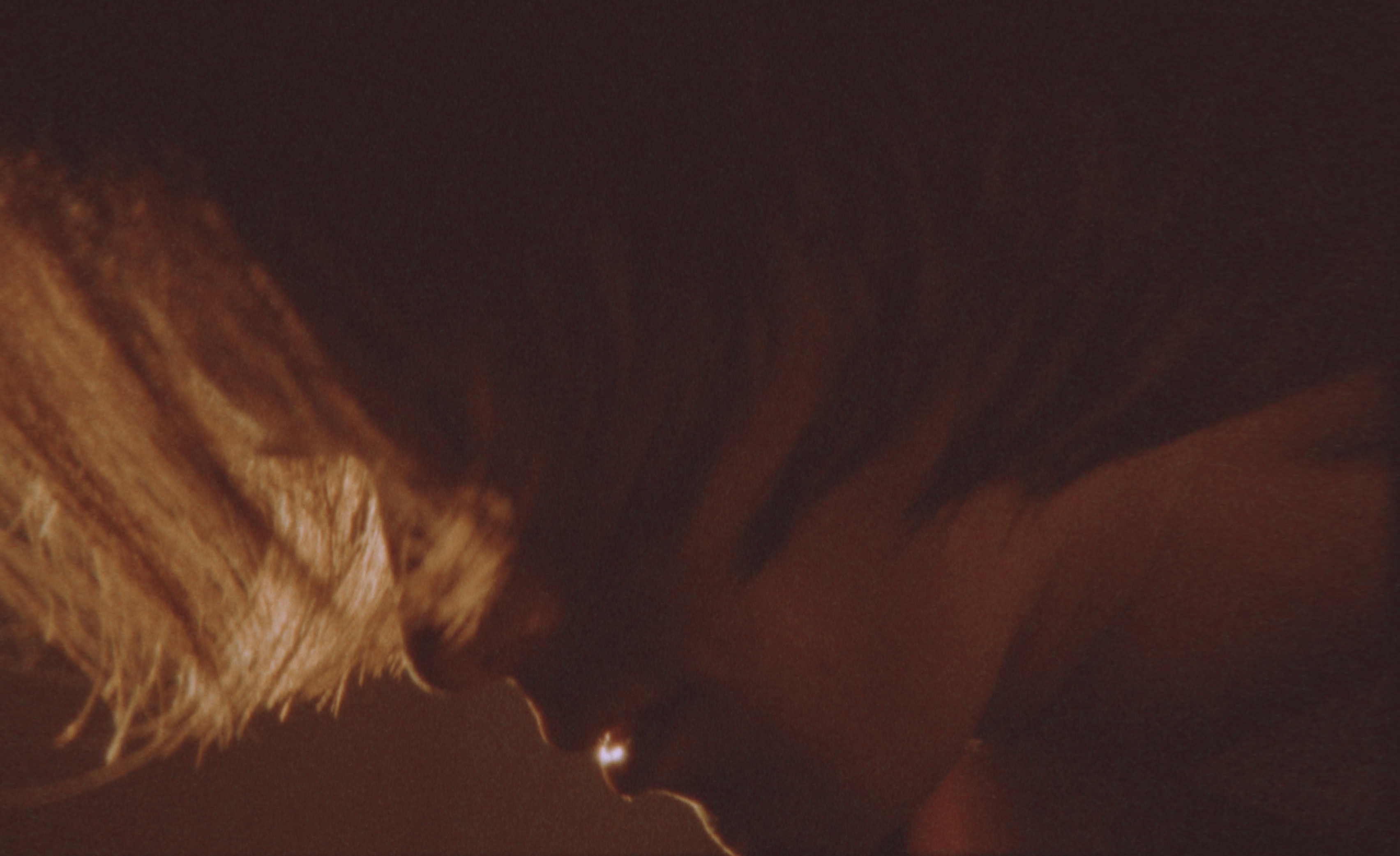 Screen Shot 2022-04-06 at 3.00.54 PM.jpeg