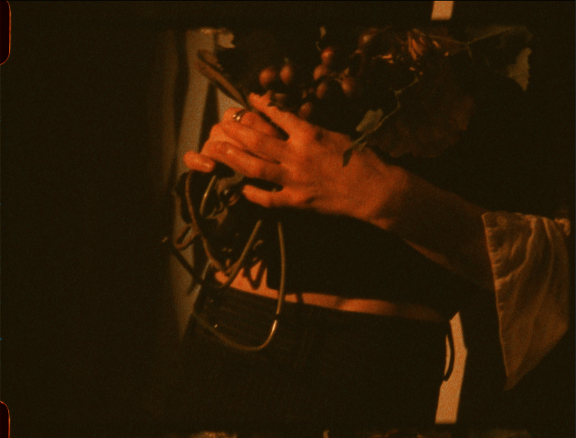 Screen Shot 2023-03-03 at 6.39.40 PM.png