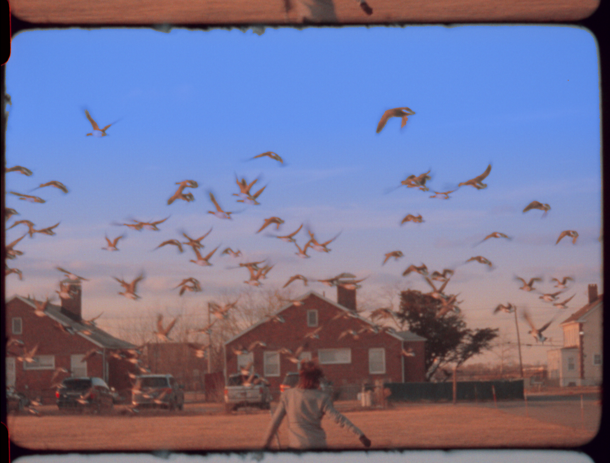 Screen Shot 2022-11-25 at 7.16.52 PM.png