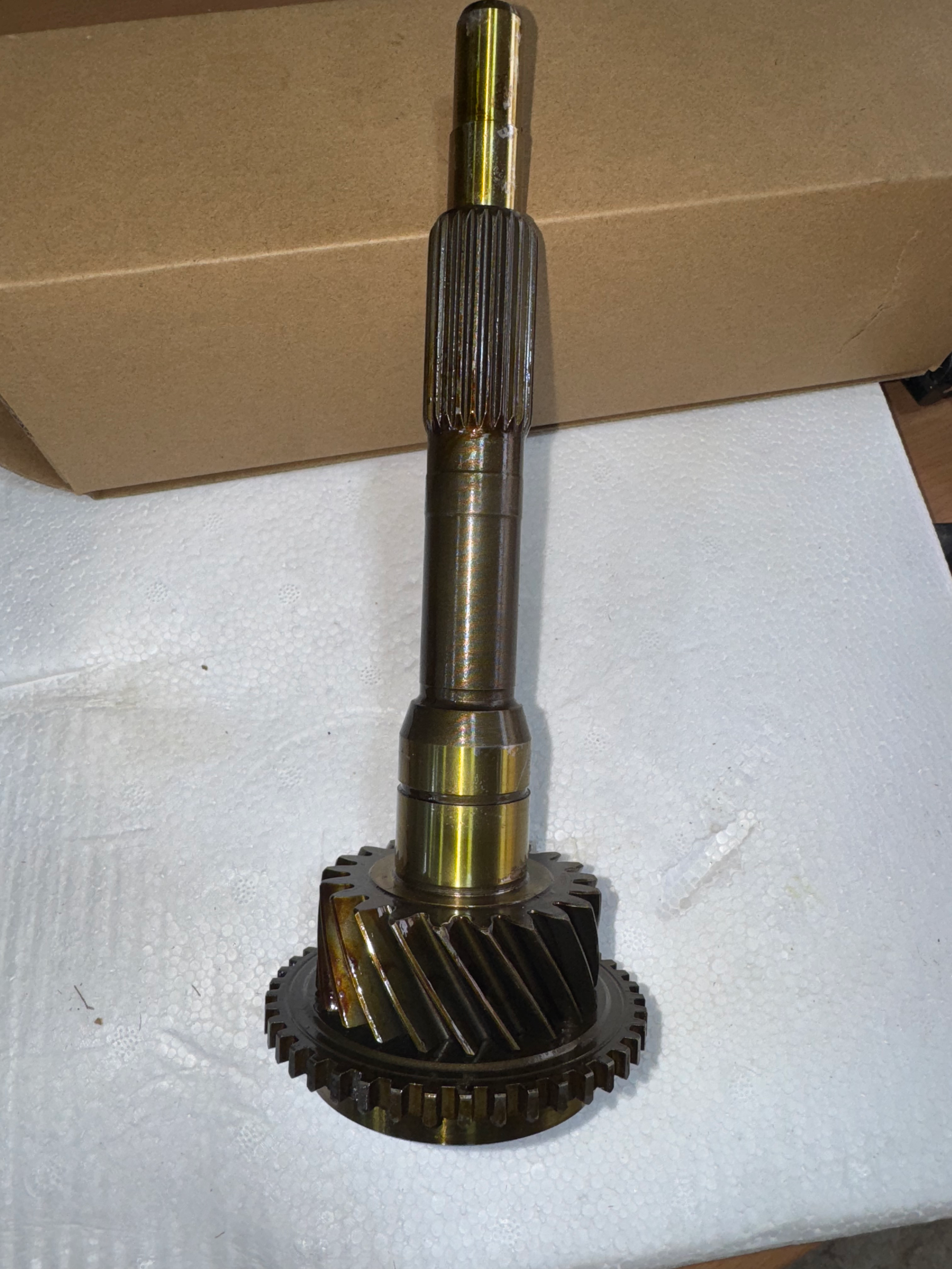 ترس رابع دتسن مع الفردة 