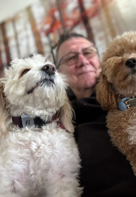 proud dogs with owner