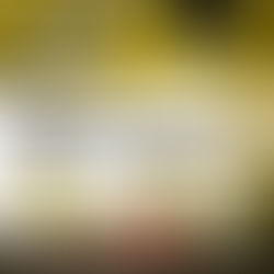 Echelon Open Air / Bassgeflüster-Special