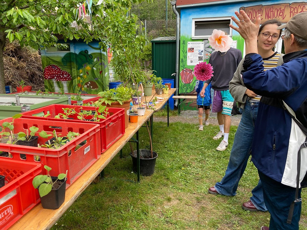 Pflanzentauschbörse beim Nachbarschaftsfest am 29. Mai 2026 auf dem Wildenbruchplatz