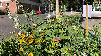 Foto einer mit bunten Blumen bepflanzten Baumscheibe in der Rosegger Straße