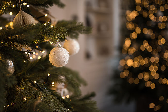 Decorated Christmas Tree_edited.jpg