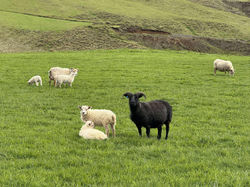 491218016_690211360535937_533989935975344430_n