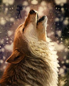 Dance of the Wolves