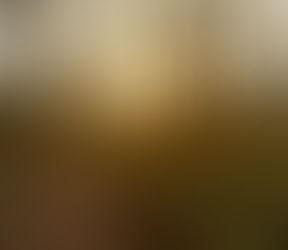 A força da oração