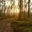 Writer: Pilgrims Passing Through