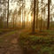 The Road Goes Ever On