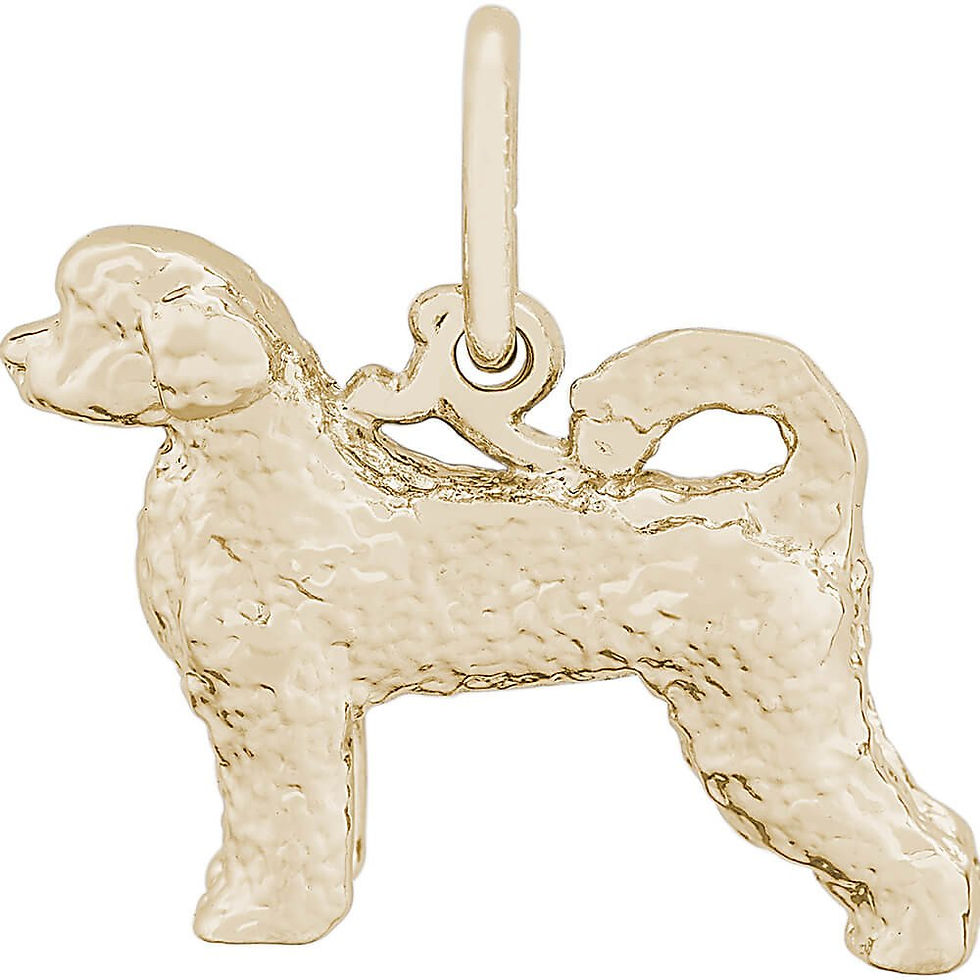 Thumbnail: Portuguese Water Dog Charm in Silver or Gold, Rembrandt