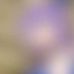 I've Been Killing Slimes for 300 Years and Maxed Out My Level | Novo vídeo divulgado sobre a personagem Flatorte