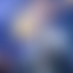 Shaman King: Flowers | Novo visual revelado e elenco que volta a série