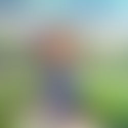 Nanara Hananare | Anime original revela elenco principal