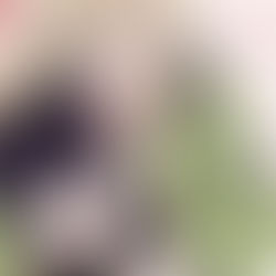 My Love Story with Yamada-kun at Lv999 | Mangá será publicado no Brasil pela editora Galera Record