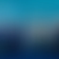 The Blue Wolves of Mibu | Anime revela vídeo, novo membro do elenco, visual e data de lançamento