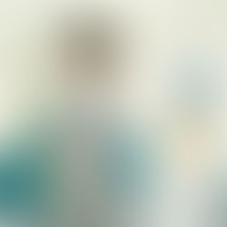 O Menino e a Garça | Filme já está disponível na Netflix