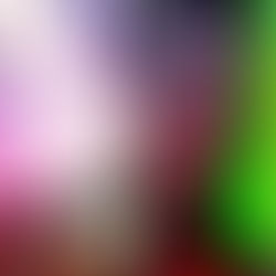 Esquadrão Suicida ISEKAI | Trailer revela elenco principal