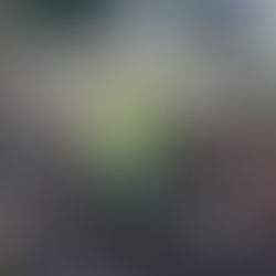 Look Back | Trailer do filme revela música tema e equipe técnica