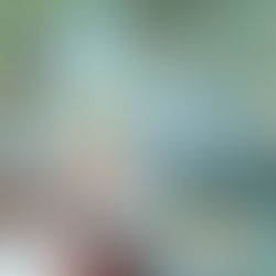 The Weakest Tamer Began a Journey to Pick Up Trash | Música de encerramento divulgada