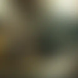 Dragons of Wonderhatch | Disney+ revela teaser, elenco e data de estreia do live-action