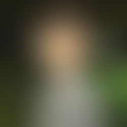 O Menino e a Garça | Filme ganha clipe musical