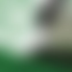 Wind Breaker | Novo membro escalado para compor o elenco