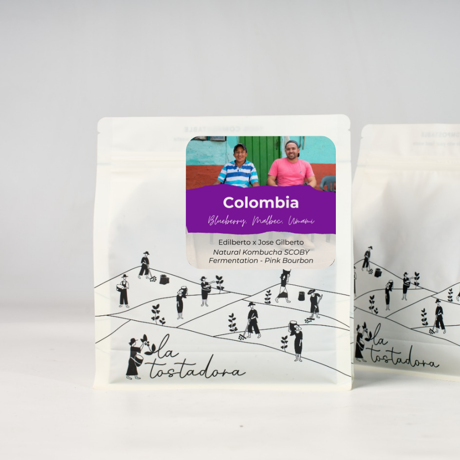 Colombia - El Diamante / Natural Kombucha SCOBY Fermentation