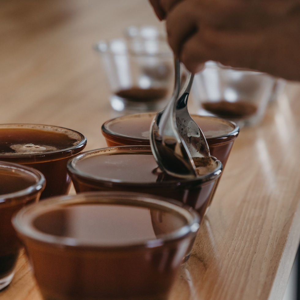 DEGUSTAÇÃO DE CAFÉS ESPECIAIS