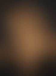 The ADaptive HardDrive: A Neurodiverse Operating System