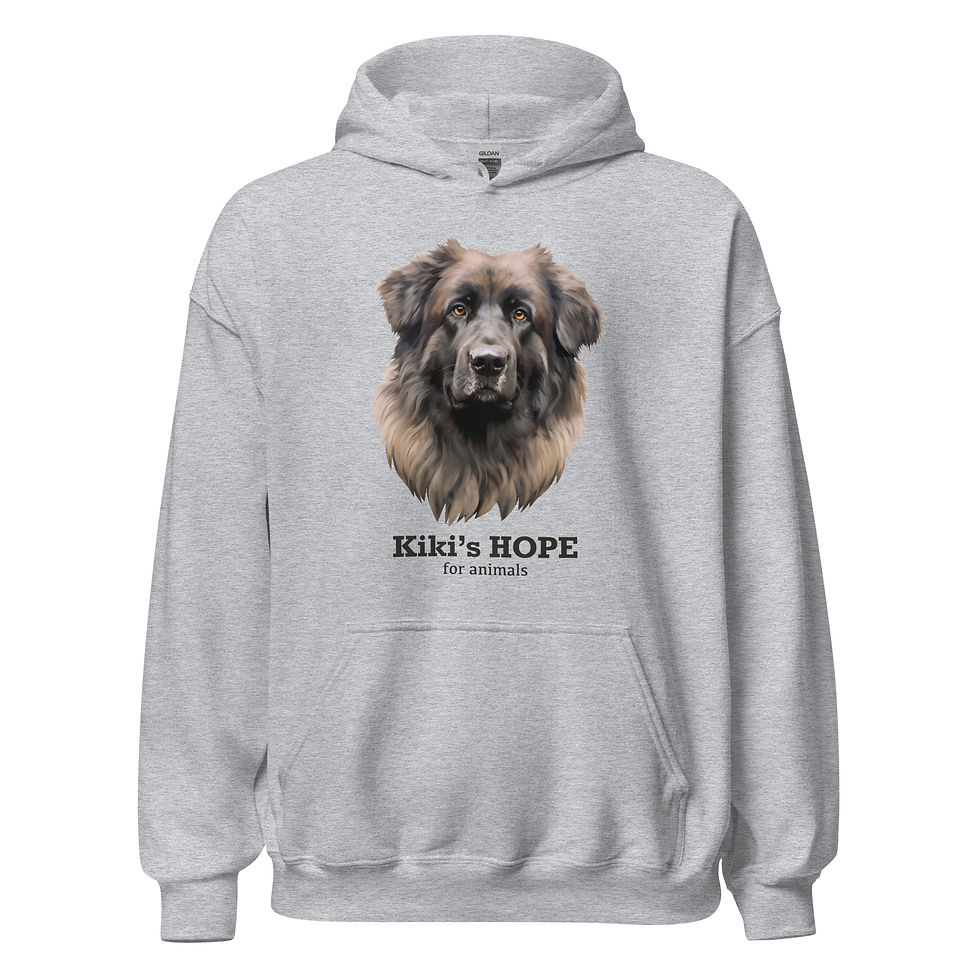 Rocky Portrait Unisex Hoodie