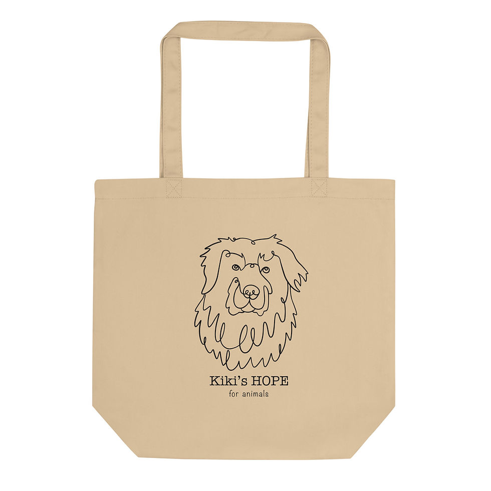 Rocky Minimalist Line Drawing Eco Tote Bag