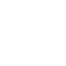 Mandala çiçek