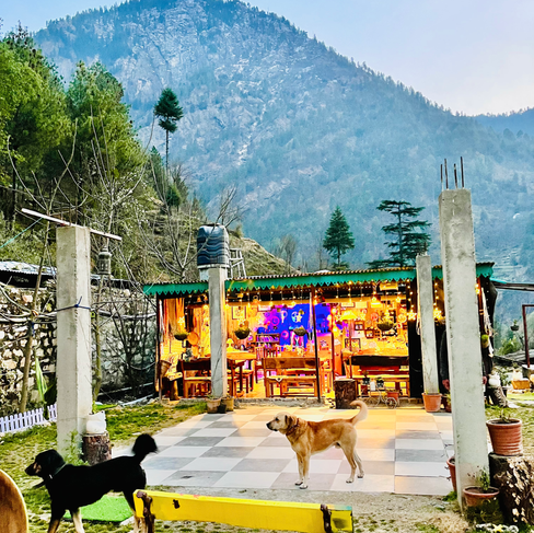 Gone fishing cottages in Tirthan Valley