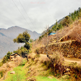 Tirthan Valley in Himachal Pradesh